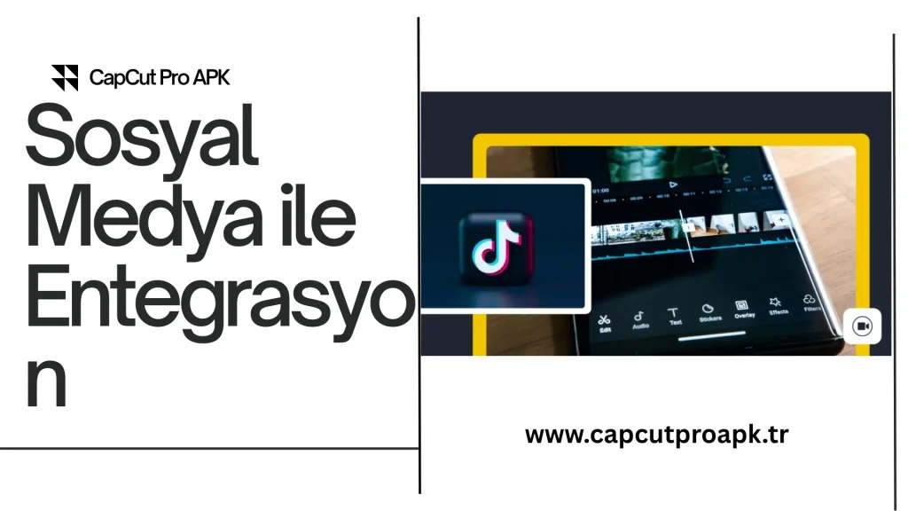 capcut Integration with Social Media